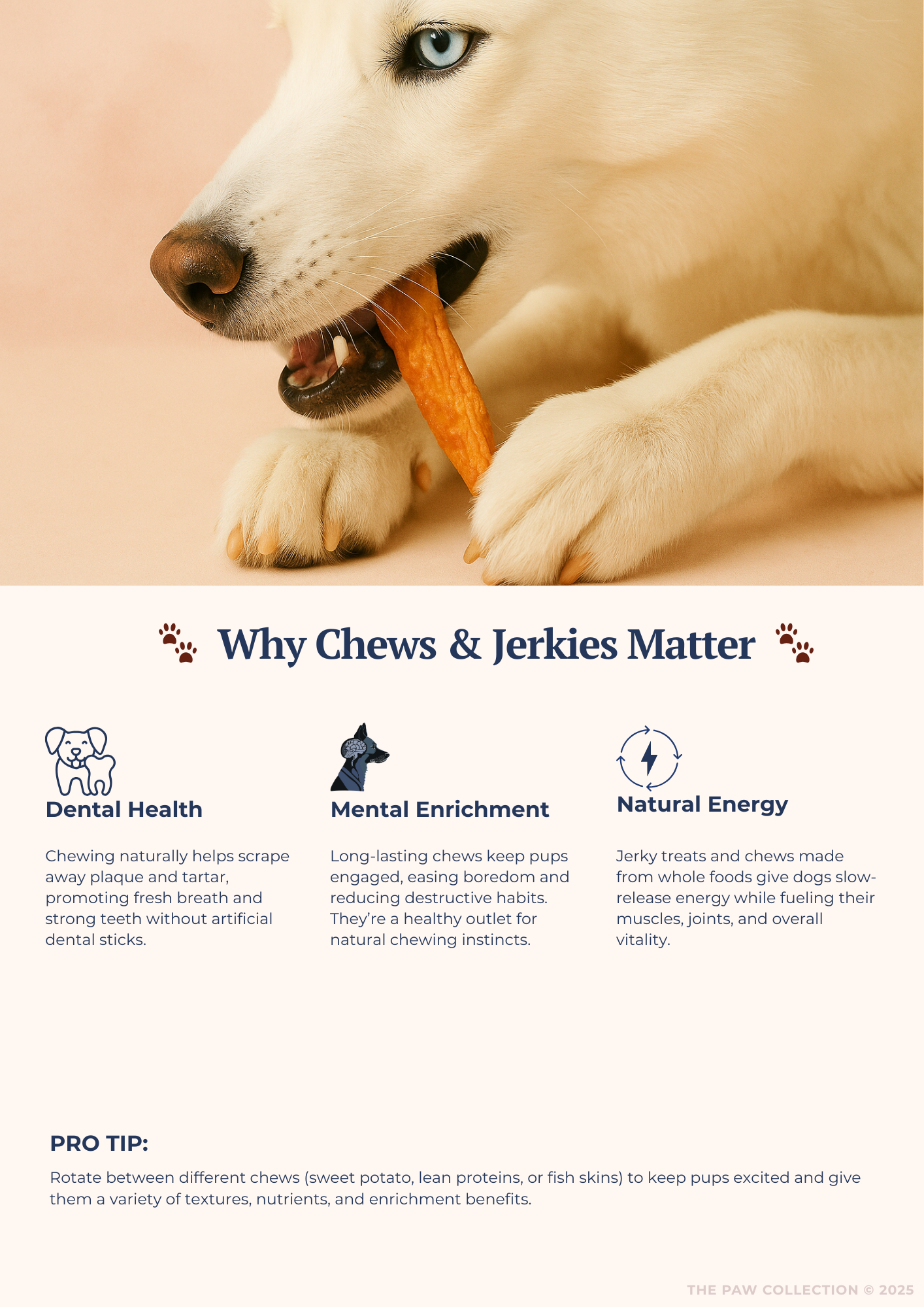 The Paw Collection Recipe Book